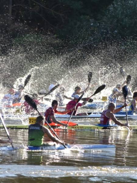 Campeonato Castilla y León verano&nbsp;absoluto.